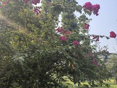 -蜀绣公园