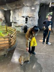 -Zoolung Zoolung动物主题公园(海信广场店)