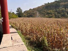 -于家石头村景区