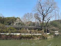 -上海醉白池公园