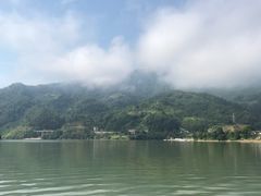 -后柳水乡