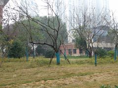 -长沙市青少年宫