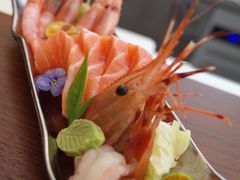 三文鱼刺身-莳空烧鸟店(晨沐店)