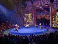 -珠海横琴长隆《卡卡虎奇遇记》