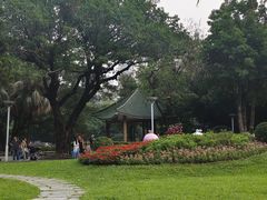 -荔湾湖公园