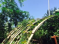 斯多格书乡咖啡馆-斯多格书乡(北京大学畅春园店)