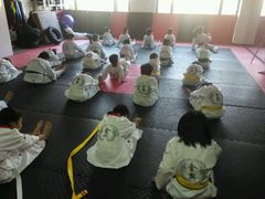 -金翼跆拳道巴西柔术拳击格斗学院