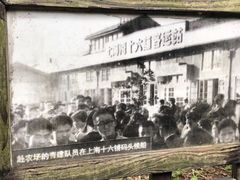 -东平国家森林公园