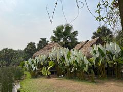 -中国科学院西双版纳热带植物园