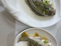 -黄埔华苑酒家(黄埔总店)