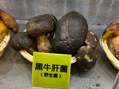 -菌海森林·非遗野生菌火锅(西山区滇池路摩根道店)