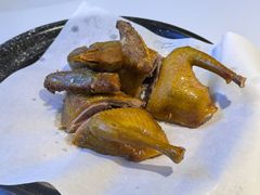 -鸽小宝(深圳首店)