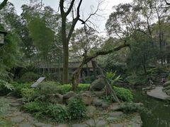 -南山植物园
