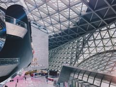 -深圳市当代艺术与城市规划馆