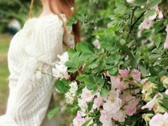 -白鹭湾湿地公园