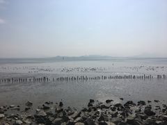 -深圳湾公园(南山区)