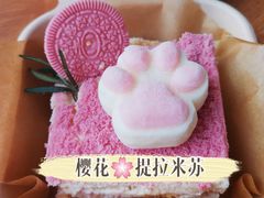 -70cat德文卷毛猫·缅因猫纯种猫舍