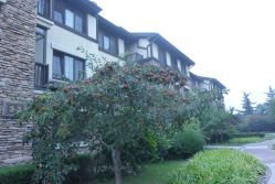 点击看大图 -芙蓉花月子会所(朝阳区店)