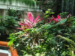 -广州白天鹅宾馆