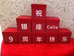 -银座Calla日式美容沙龙
