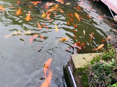 -国色天乡三期陆地乐园