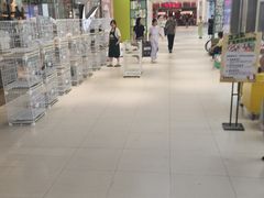 -宁波鄞州万达广场