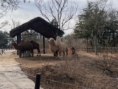 -济南野生动物世界