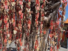 -崇圣寺三塔文化旅游区