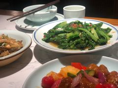 -大榕树下顺德菜(融创茂店)