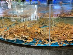 水产区-徐记海鲜(梅溪新天地店)