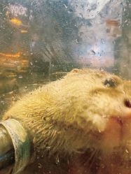 -Zoolung Zoolung动物主题公园(海信广场店)