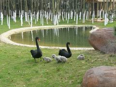 -艾溪湖湿地公园