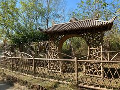 -塘沽森林公园