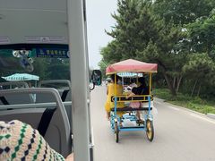-日照海滨国家森林公园