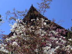 -青岛崂山太清宫
