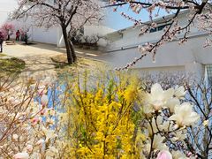 -石家庄市植物园