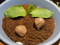 盆栽甜点-老板恋上鱼(恒隆广场店)