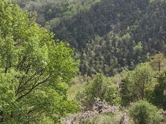 -敬亭山风景名胜区