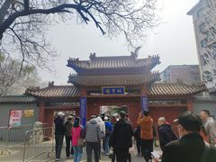 -桃花堤公园