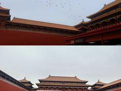 -故宫博物院(故宫)