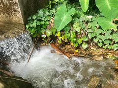 -泽雅七瀑涧景区