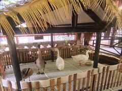 -优之名鹅城