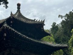 -报恩寺(平武县)