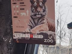 -武汉动物园
