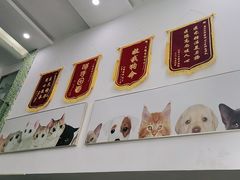 -爱侣宠医·鹦鹉专科·小型哺乳类·异宠专科(灵石路店)