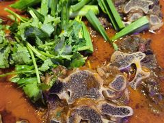 -杨氏青龙虾·羊蝎子(托乐嘉店)