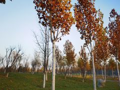 -瀛海足球主题公园