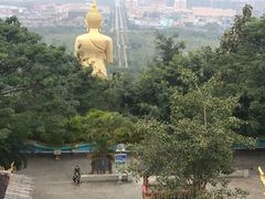 -西双版纳勐泐文化旅游区