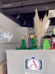 -BabyA 专业婴童摄影(古北时尚广场店)