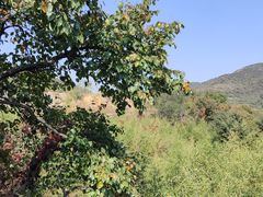-九如山休闲旅游度假区
